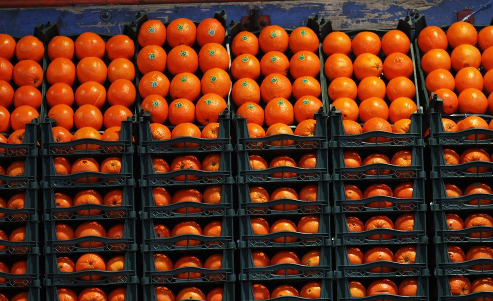 مخالفت وزارت کشاورزی با تعطیلی مراکز عرضه میوه‌ها در ۲روز نخست فروردین