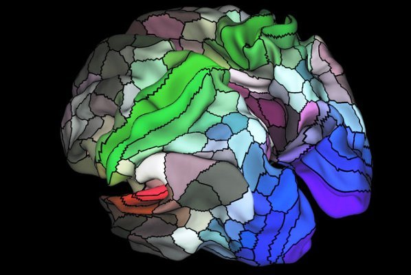 مغز حاوی نزدیک به ۱۰۰ منطقه ناشناخته جدید است