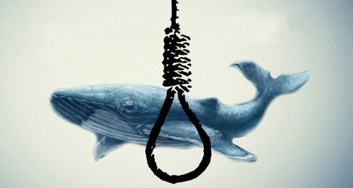 نهنگ آبی عامل خودکشی دو دختر اصفهانی نبوده است/ پرونده حادثه خودکشی تشکیل شده است