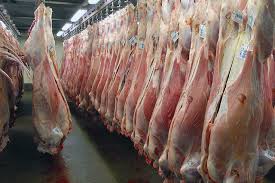 تکذیب توقف محموله گوشت وارداتی/ واردات گوشت قرمز به کشور از مرز ۷۲ هزار تن گذشت