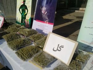 کشف بیش از ۲ کیلوگرم مواد مخدر “گل” در فرودگاه تبریز