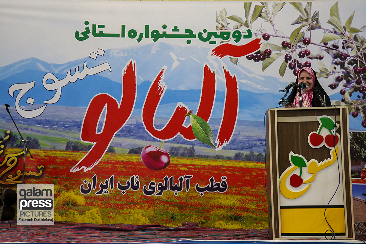 دومین جشنواره استانی برداشت آلبالو در شهر تسوج شبستر