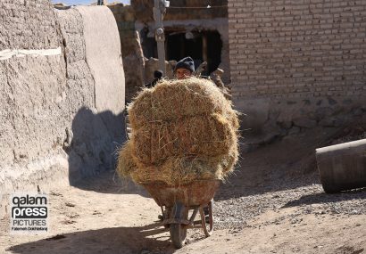 ۵۰۰ روستای آذربایجان‌شرقی خالی از سکنه/  لازمه ماندگاری جمعیت در روستاها توسعه اقتصاد روستایی است