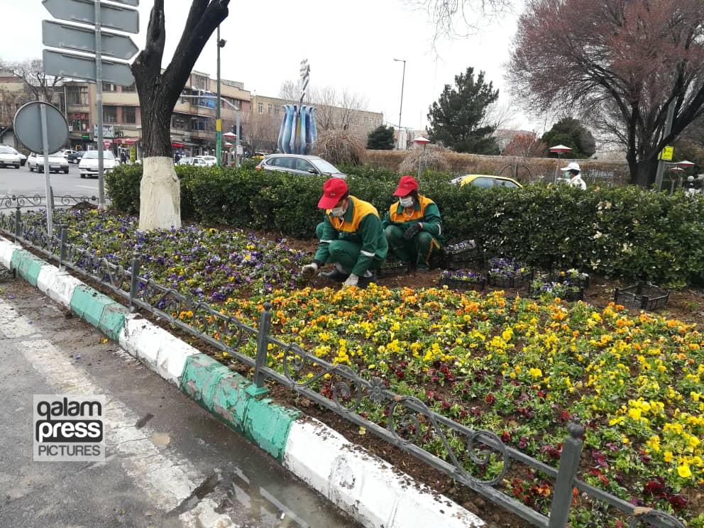 کاشت ۴۱۲هزار بوته گل و هزار نهال و درختچه در یک ماه گذشته
