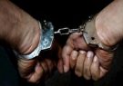 دستگیری ۲۰ سارق در تبریز
