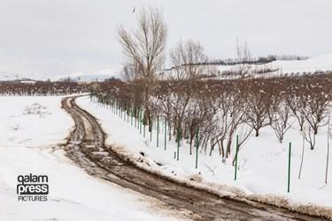 ارسباران زیر برف بهاری! | خبرگزاری فارس
