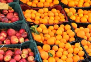 وقتی میوه‌های شب عید سر از بازار مزایده در می‌آورند/ ۱۲۵۰۰ تن میوه‌های تنظیم بازاری روی دست دولت ماند!
