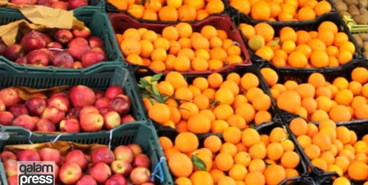 وقتی میوههای شب عید سر از بازار مزایده در میآورند/ ۱۲۵۰۰ تن میوههای تنظیم بازاری روی دست دولت ماند!