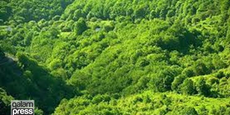 هشدار درباره سوءاستفاده گران و بهرهبرداری غیرمجاز از منابع طبیعی