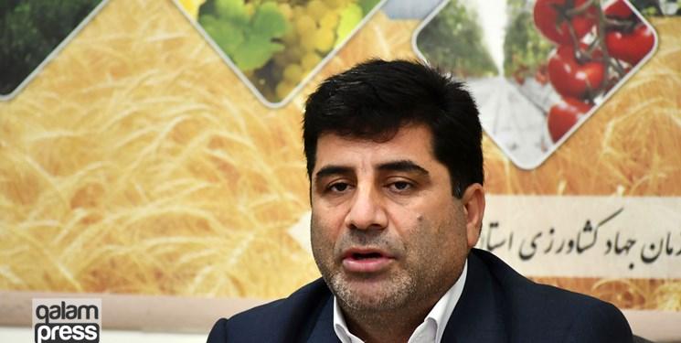 بازار از حالت هیجانی خارج شد/ارز ۴۲۰۰ تومانی فسادزا و رانت آور است