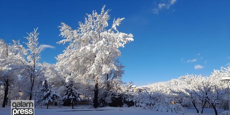 با گذشت ۴۹ روز از زمستان/ برف، بهار را از مرند بیرون کرد