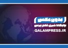 عربی باغی استعفای خود را تایید کرد/ یکسری قوانین مناطق آزاد رعایت و اجرا نمی شود