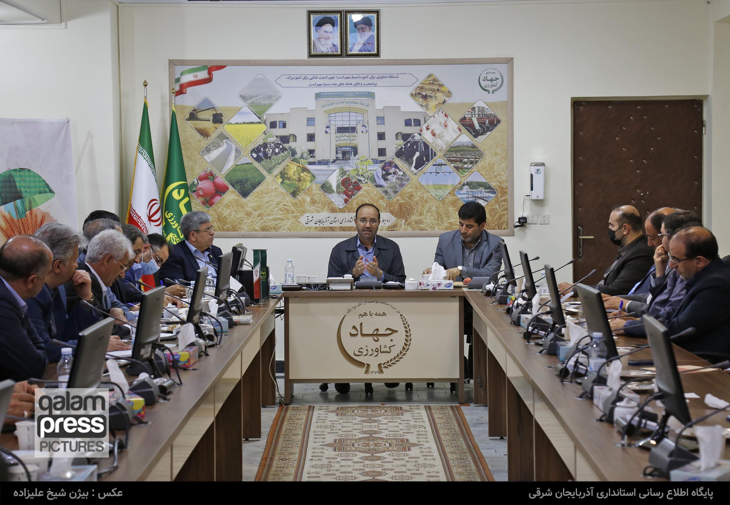 نقش بیبدیل بخش کشاورزی در تحقق رشد اقتصادی استان/ ورود جدی بخش خصوصی به سرمایهگذاری در حوزه کشاورزی