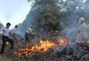 تلاش برای مهار آتش‌ در  جنگل‌های ارسباران ادامه دارد