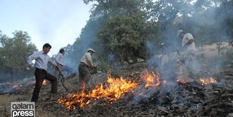 تلاش برای مهار آتش‌ در  جنگل‌های ارسباران ادامه دارد