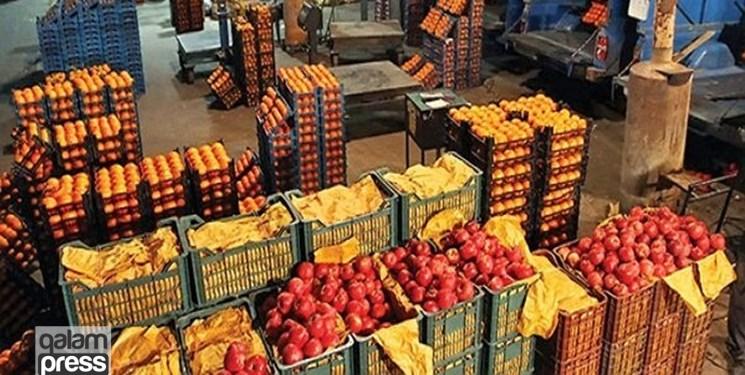 سیاست جدید وزارت جهاد کشاورزی برای میوه شب عید