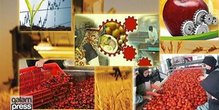 صادرات ۸۰ هزار تن محصولات صنایع تبدیلی به کشورهای خارجی از شبستر