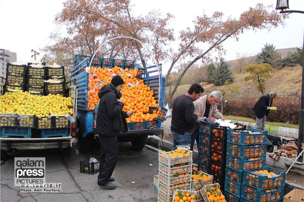 جمع‌آوری ۱۱۴ دستگاه وانت‌بار میوه‌فروش در تبریز/۳۰۰ دستگاه وانت بار در انحصار ۱۸ نفر