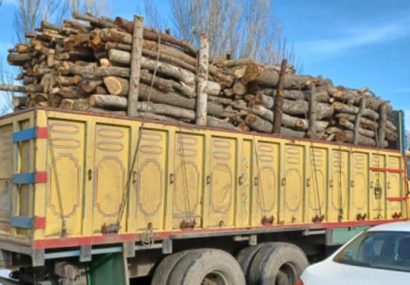 کشف ۲۰ کامیون حامل چوب قاچاق در آذربایجان شرقی