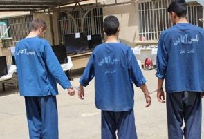 دستگیری ۴۸ سارق و مالخر در آذربایجان‌شرقی