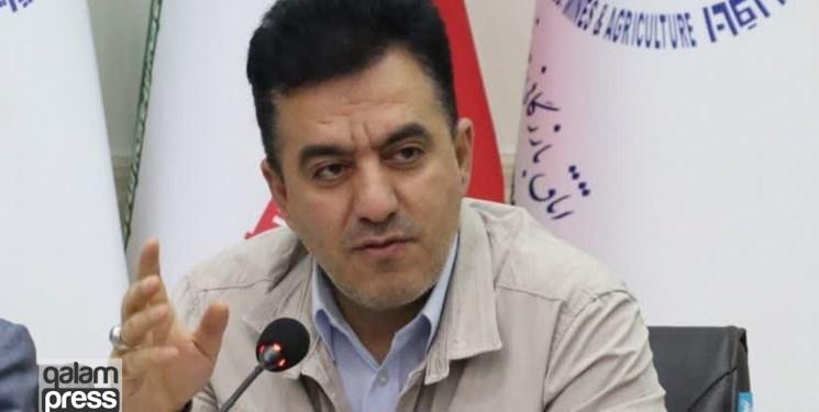 وانتبارها به پارکینگ منتقل میشوند/ حیاط مدارس پارکینگ میشود