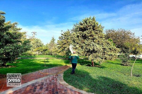 ایجاد ۶۰۰ هکتار فضای سبز در سال آینده