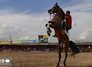 فیلم|جشنواره شوسواری اسب‌های اصیل در اهر