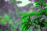 باران در چله تابستان تب تبریز را گرفت