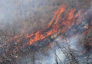 آتش به جان جنگل‌های ارسباران افتاد