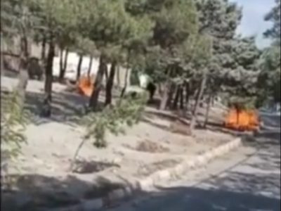 آتش زدن درختان در تبریز!