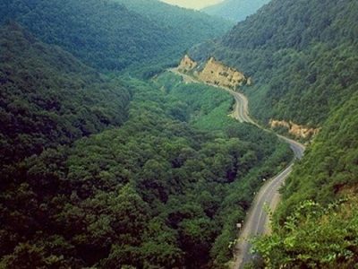 ارسال پرونده جنگلهای ارسباران برای ثبت جهانی به یونسکو
