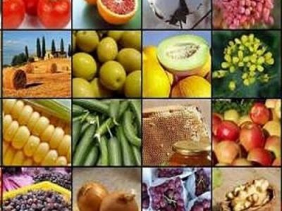 تولید ۱۰۷ هزار میلیارد تومان محصولات کشاورزی در آذربایجان‌شرقی