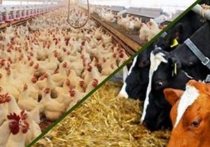تجارت قراردادی در آذربایجانشرقی عملیاتی میشود