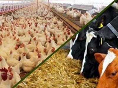 تجارت قراردادی در آذربایجانشرقی عملیاتی میشود