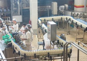 صادرات ماهانه ۶۰۰ تن انواع مصحولات لبنی و ۱۰۰ تن شیر خشک از آذربایجان شرقی