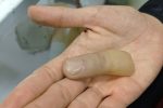 فیلم|  ساخت دست  و انگشت هوشمند و حرکت با سیگنال‌های مغز در تبریز
