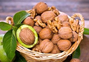 صادرات گردوی آذربایجان شرقی به حوزه خلیج فارس، آسیای میانه و روسیه
