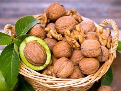 صادرات گردوی آذربایجان شرقی به حوزه خلیج فارس، آسیای میانه و روسیه