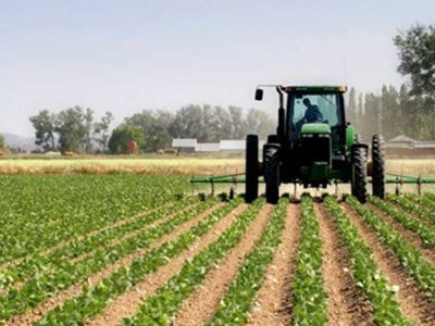 سهم ۱۸ درصدی بخش کشاورزی در اشتغال آذربایجان شرقی