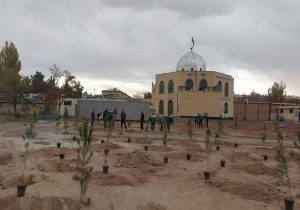 کاشت ۱۰۵۰ درخت و درختچه در شهرک امام خمینی (ره)