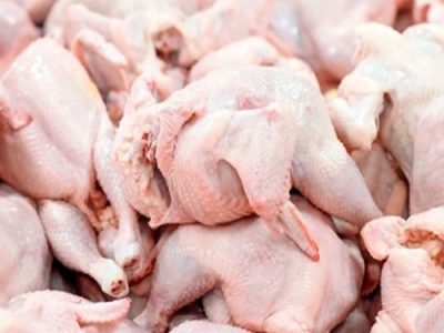 تشکیل ۹۱۴ پرونده مرغی در تبریز