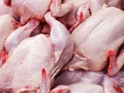 ادامه توزیع مرغ منجمد وارداتی تا متعادل شدن قیمت‌ها