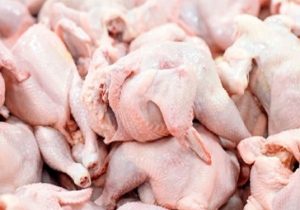 تشکیل ۹۱۴ پرونده مرغی و نانی در تبریز