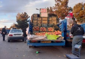 جمع‌آوری وانت‌بارهای میوه فروش نیازمند مشارکت شهروندان و ارگان‌های مختلف