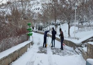 برف روبی معابر و مسیرهای دسترسی پارکها و برف‌تکانی درختان