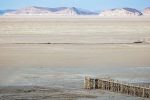 مالچ‌پاشی، طرحی که کسی گردن نمی‌گیرد