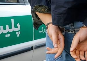 دستگیری سارق سیم و کابل برق در هریس