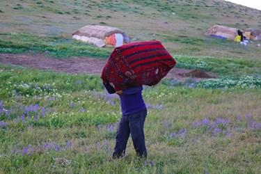 به بزرگی پدر، به معنی زندگی