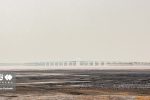 واکنش محیط زیست به مالچ‌پاشی در دریاچه ارومیه