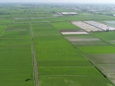 میزان تحقق کشاورزی قراردادی در آذربایجان‌شرقی